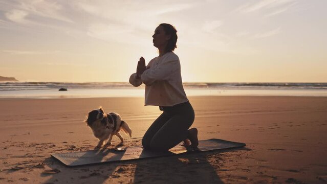 Woman doing workout with dog on ocean beach at sunset. Female doing Yoga and stretching on mat on sand sea shore at sunrise. Strong powerful woman exercises in the morning or evening outdoors. 