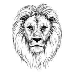 Sketch lion head vintage illustration.