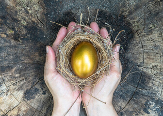 Golden egg opportunity, concept of wealth, a chance to be rich in investment success and retirement...