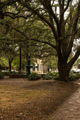view to Lafayette Square in Savannah