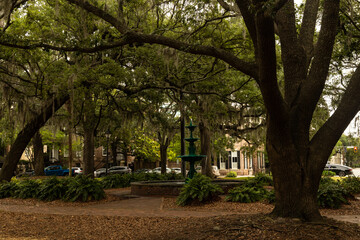 Fototapeta na wymiar view to Lafayette Square in Savannah