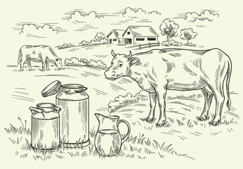 Rural landscape with cow and milk. Hand drawn village sketch with agriculture and domestic animals, pasture and house. Dairy products, harvest and countryside concept. Linear flat vector illustration © Rudzhan