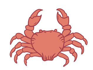 Hand drawn illustration of sea crab in orange blush peach color, Seafood ocean animal, pastel wildlife design, marine underwater species, food restaurant menu, shell claws.