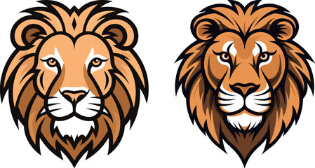 Illustration portfolio of cute little lion's head