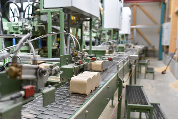 assembly line in modern industry for the production of wood pellets for environmentally friendly...
