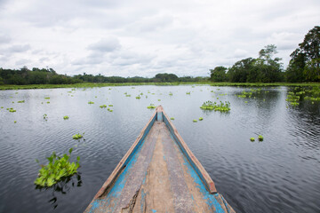 Obraz premium Views from the Cuipari Lake in Peruvian Jungle.