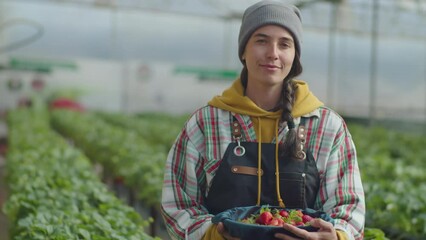 Medium portrait shot of young woman holding container full of ripe strawberry and posing for camera with smile while standing in greenhouse farm