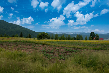 Small village in Donja Brezna in Plužine, Montenegro.