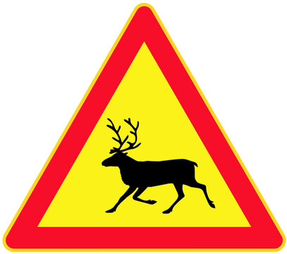 Reindeer road sign and symbol