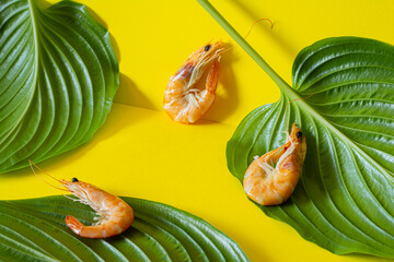 Cooked shrimp on green leaves on  yellow background. Vacation food, healthy eating.