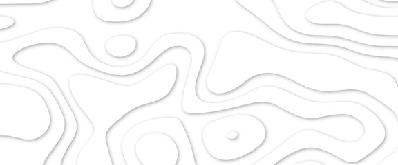 Fototapeta premium Abstract wavy line 3d paper cut white background. White paper cut white background. Abstract realistic papercut decoration textured with wavy layers and shadow. Abstract realistic papercut decoration 