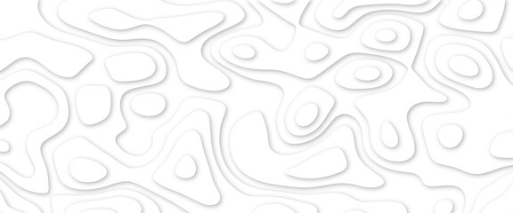 Abstract wavy line 3d paper cut white background. White paper cut white background. Abstract realistic papercut decoration textured with wavy layers and shadow. Abstract realistic papercut decoration	