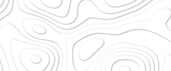 Abstract wavy line 3d paper cut white background. White paper cut white background. Abstract realistic papercut decoration textured with wavy layers and shadow. Abstract realistic papercut decoration	