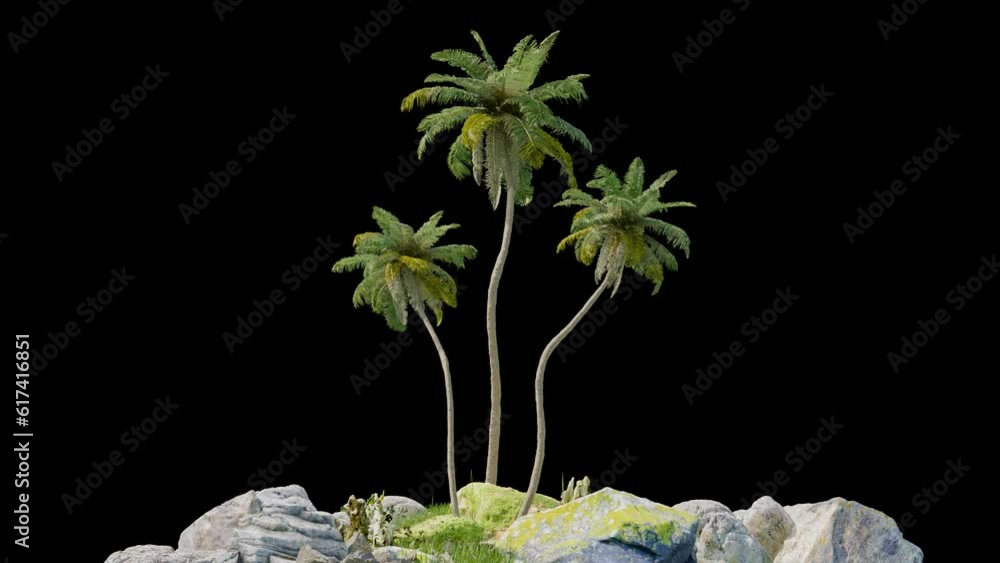 Aufkleber isolated tropical coconut tree on black background with alpha tree footage, 3d illustration renderin