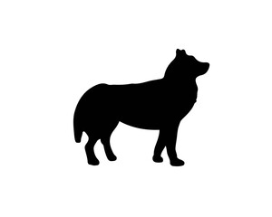 Huski breed silhouette. Vector illustration about dog in black color. Domestic mammal animal. Symbol for feed and pet things