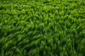 Fototapeta na wymiar Realistic Synthetic Grass Texture. Generative AI