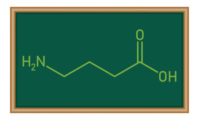 Chemical structure of γ-Aminobutyric acid or gamma-aminobutyric acid or GABA (C4H9NO2). Chemical resources for teachers and students. Vector illustration isolated on white background.