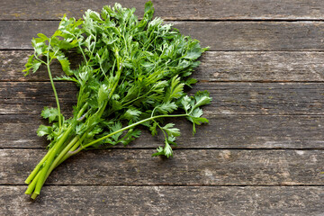 Coriander bunch (stalks with leaves) on wooden rustic table. Thai cuisine ingredient.