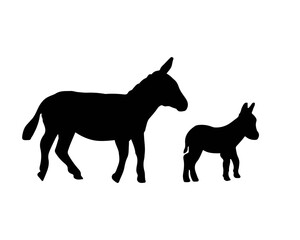 Donkey and foal silhouette. Baby of donkey is mammal farm animal. Vector symbol lives in a ranch.