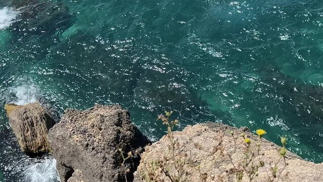 Sea turquoise blue waves and coastal rocks with wildflowers.