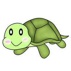 turtle