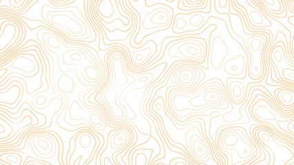 Topographic map, vector background with height lines. Topographic map colorful abstract background with contour lines. The concept of conditional geographical pattern and topography map.	