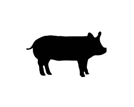Pig silhouette. Vector farm mammal animal. Symbol of pork meat. Vector illustration in black color