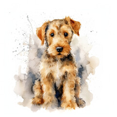 Cute Airedale terrier puppy, isolated on white background. Digital watercolour illustration.