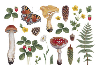 Hand painted acrylic botanical illustrations of forest nature. Cottegecore style. Perfect for prints, home textile, packaging design, posters, stationery - 617430616
