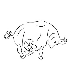 an angry bull