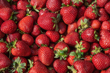 strawberries in a market