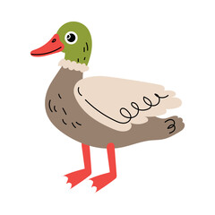 Cute Duck Poultry as Farm Animal Vector Illustration