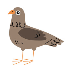 Cute Bird and Poultry with Feather and Beak as Farm Animal Vector Illustration