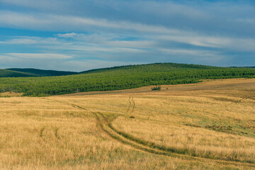 Fototapeta na wymiar Country road leading to cape of peninsula. Olkhon island, Baikal lake, yellow meadow, summer day, stormy weather. Path in field, loneliness