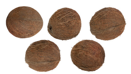 A set of whole coconuts on a blank background. PNG