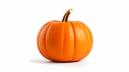 Pumpkin on a white background
