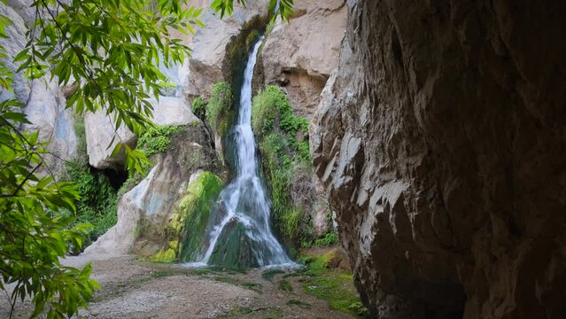 Tropical Waterfall Video