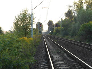 Railway track, infrastructure and vegetation along.