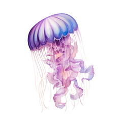 Watercolor Jelly Fish Isolated. Illustration AI Generative.