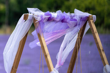 lavender field