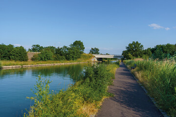 Paysage  de Brumath à cote Strasbourg