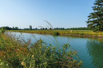 Paysage  de Brumath à cote Strasbourg