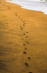 camminata, sabbia, impronte, piedi, spiaggia, vacanza, passo, 