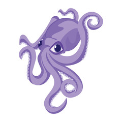 Vector Cartoon Octopus Character isolated illustration