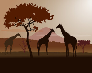 Fototapeta na wymiar African savannah landscape with giraffe silhouettes, midday sun, red and brown colors. Vector illustration.