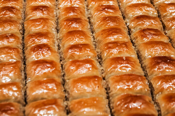 delicious baklava, typical Turkish sweets made with dried fruit and honey