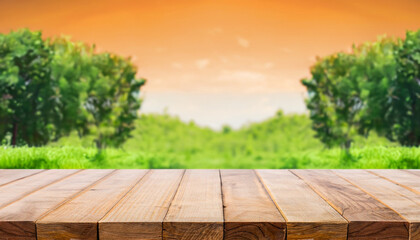 display wooden table and green background