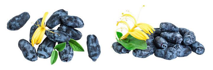 Fresh honeysuckle blue berry isolated on white background with full depth of field. Top view. Flat...