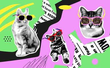 Collage design elements in trendy dotted pop art style. Retro halftone effect. Portraits of cats in sunglasses.Vector isolated elements. Сat with glasses. Print design,  t-shirt print