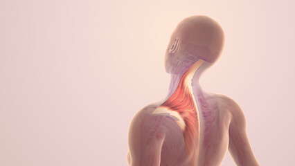 Shoulder and trapezius muscle pain - obrazy, fototapety, plakaty